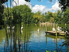 101PARC AUX OISEAUX DANS L AIN 2016 1_000041